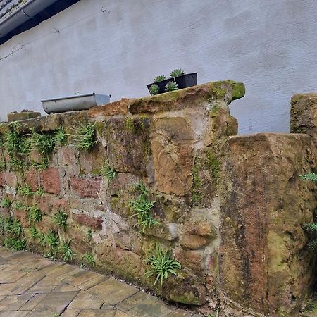 Haus Ziegenblick Villa Herbolzheim Exteriör bild